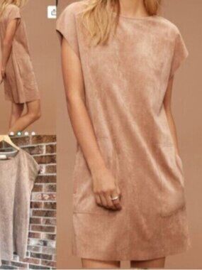 Aritzia  * Wilfred Free Nori  Faux Suede Shift Dress EUC L